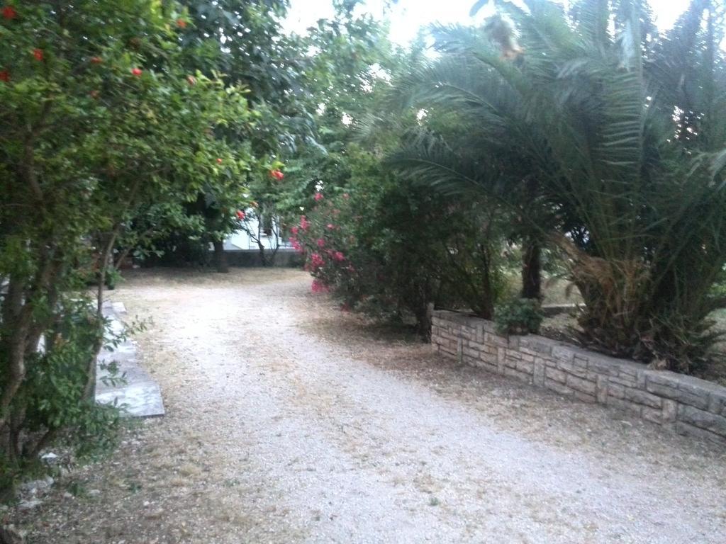 Apartment Tome Biograd Na Moru Værelse billede
