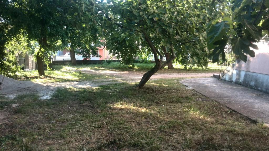 Apartment Tome Biograd Na Moru Eksteriør billede