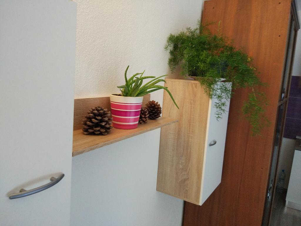 Apartment Tome Biograd Na Moru Eksteriør billede