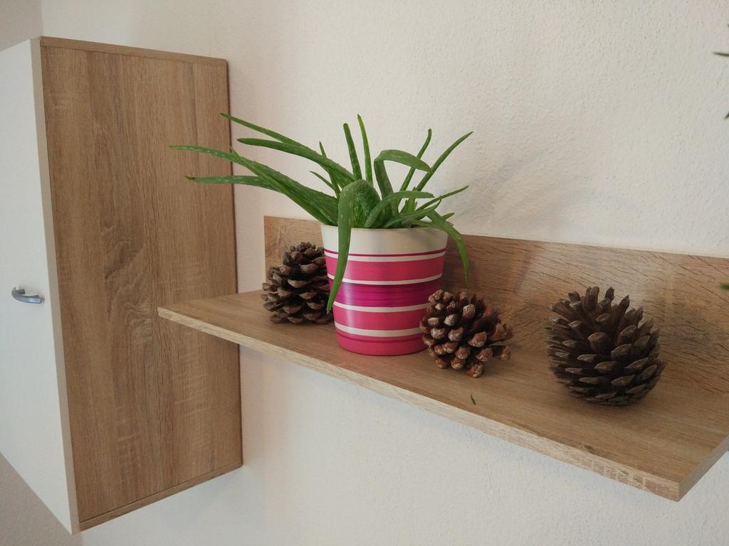 Apartment Tome Biograd Na Moru Eksteriør billede